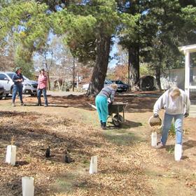 Val Wiseman memorial garden working bee