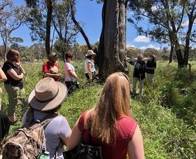 Tirriwirri teachers at the scarred tree