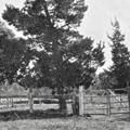 Majura School gates 1892